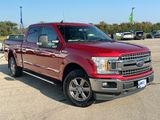 Used 2020 Ford F150 XLT w/ Equipment Group 302A Luxury image 5