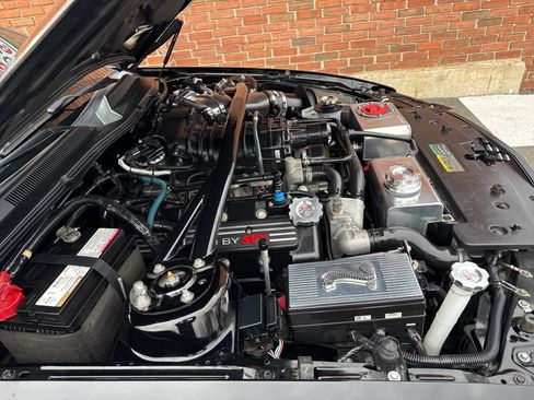 Used 2008 Ford Mustang Shelby GT500 image 43