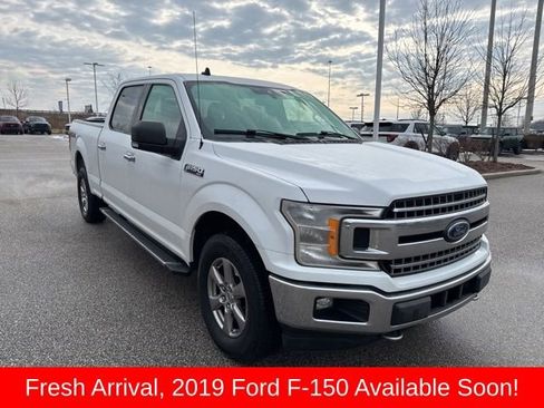 Used 2019 Ford F150 XLT w/ Equipment Group 302A Luxury image 1