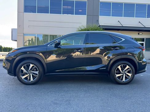 Used 2020 Lexus NX 300h AWD w/ Premium Package image 6