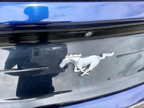 Used 2019 Ford Mustang Coupe w/ Equipment Group 101A RWD image 27