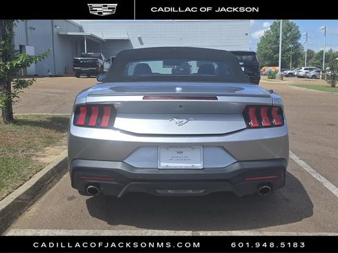 Used 2024 Ford Mustang Premium image 5