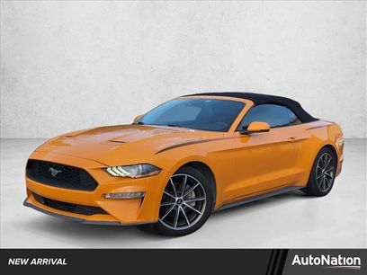 Used 2019 Ford Mustang Premium w/ Equipment Group 201A