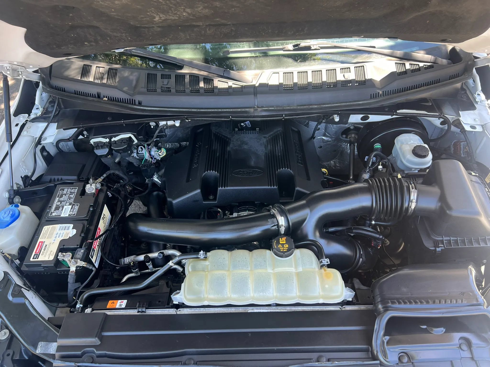 Used 2019 Ford F150 XL w/ Equipment Group 101A Mid RWD image 8
