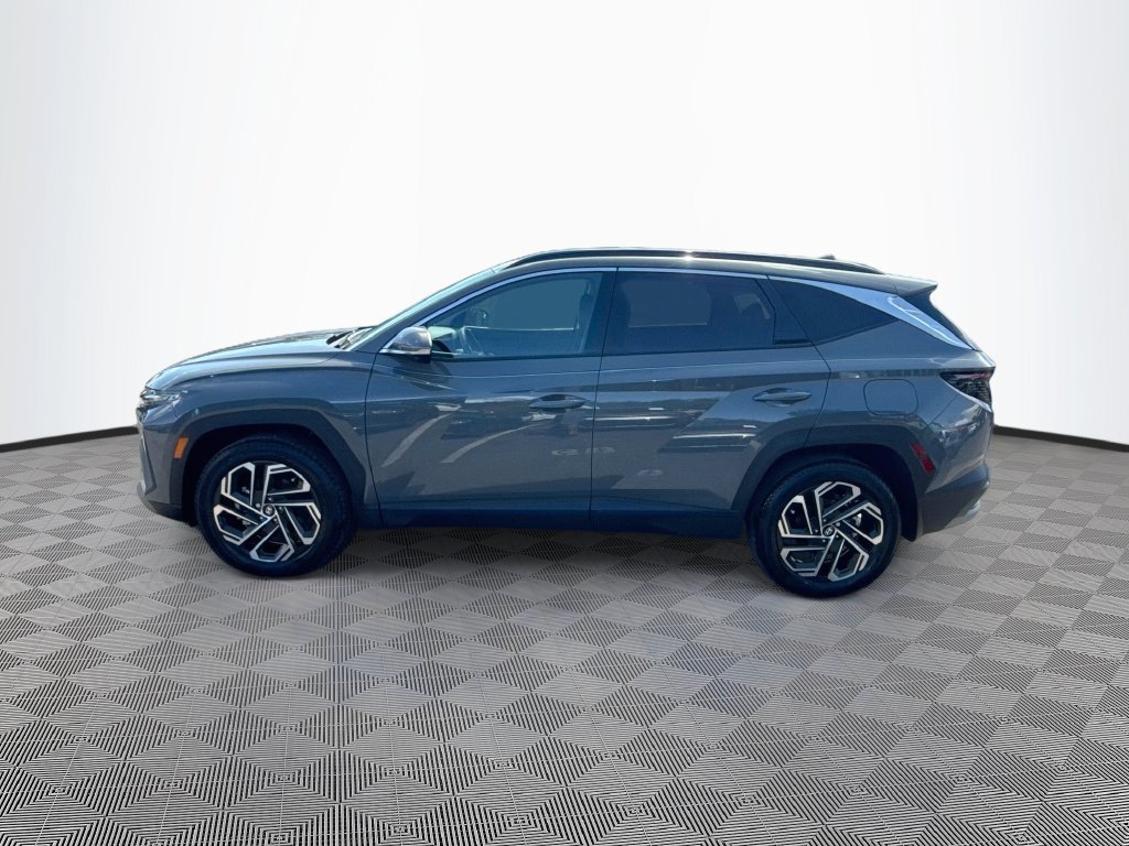 Used 2025 Hyundai Tucson Limited AWD/4WD image 9