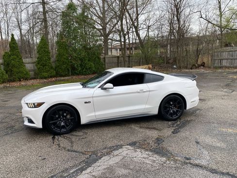 Used 2017 Ford Mustang GT w/ Black Accent Package image 2