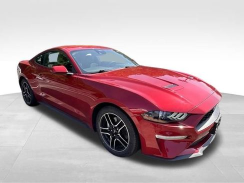 Used 2022 Ford Mustang Coupe w/ Equipment Group 101A RWD image 9