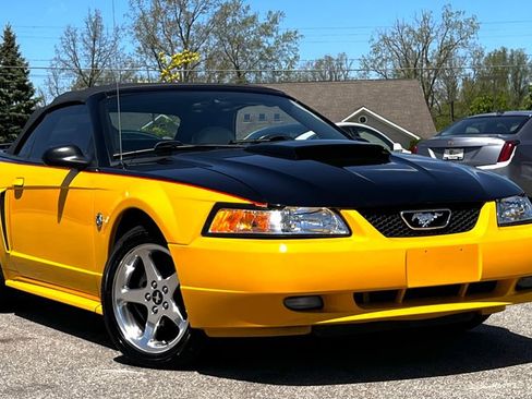 Used 2004 Ford Mustang GT image 3