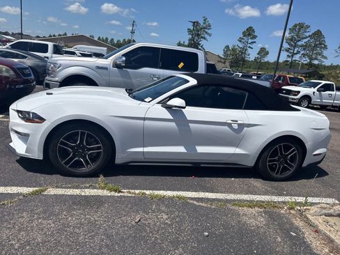 Used 2022 Ford Mustang Premium w/ Equipment Group 201A RWD image 4