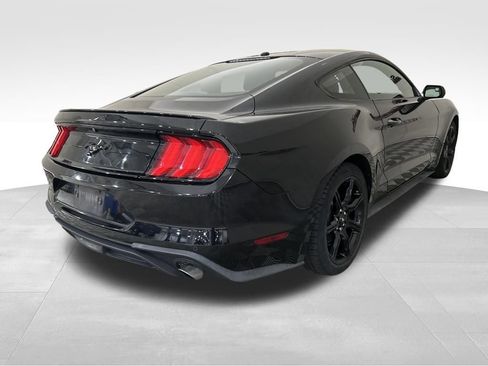 Used 2019 Ford Mustang EcoBoost w/ Equipment Group 101A image 5