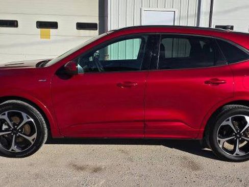 Certified 2025 Ford Escape ST-Line Elite image 5