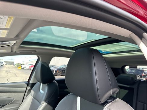 Used 2025 Hyundai Tucson Limited AWD/4WD image 12
