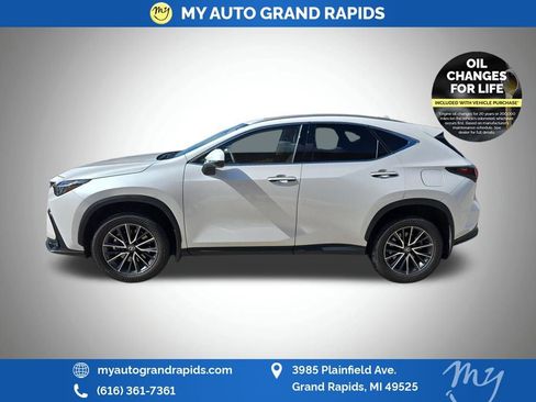 Used 2024 Lexus NX 350 AWD w/ Cold Area Package image 4