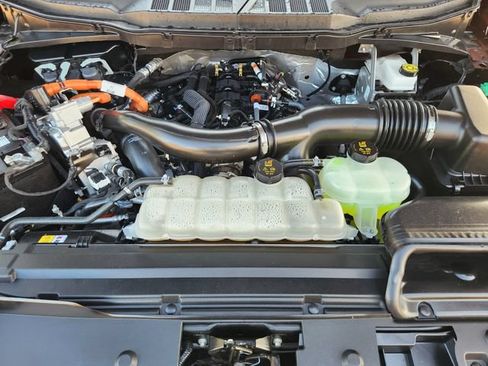 Used 2025 Ford F150 XLT w/ Equipment Group 301A Standard AWD/4WD image 31