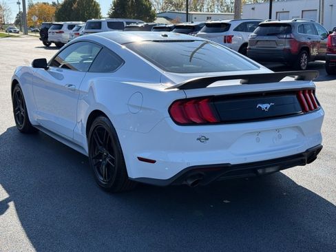 Used 2019 Ford Mustang Premium image 6