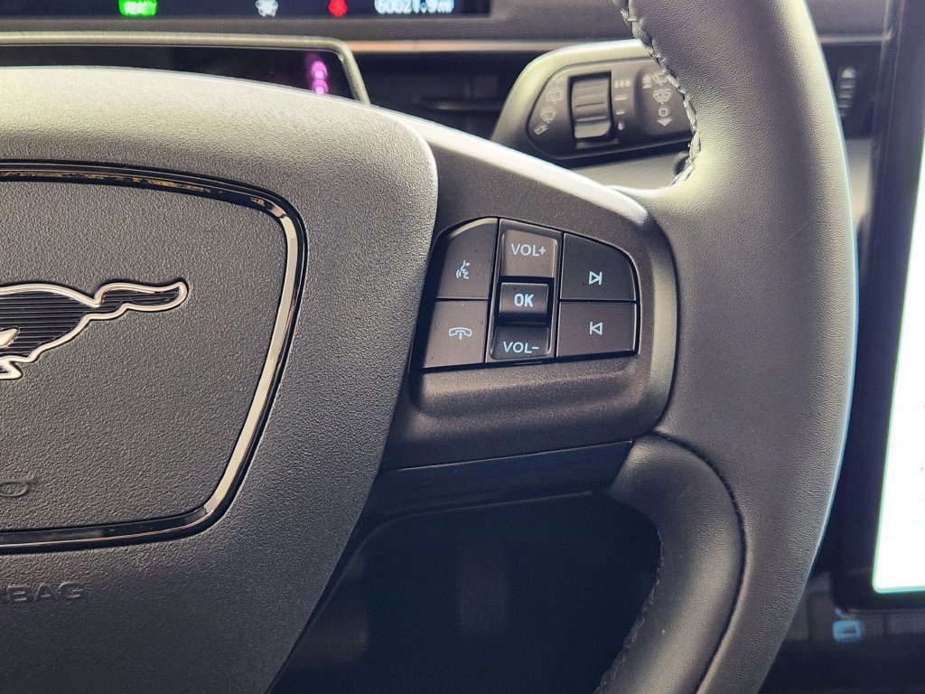 Used 2023 Ford Mustang Mach-E California Route 1 AWD/4WD image 19