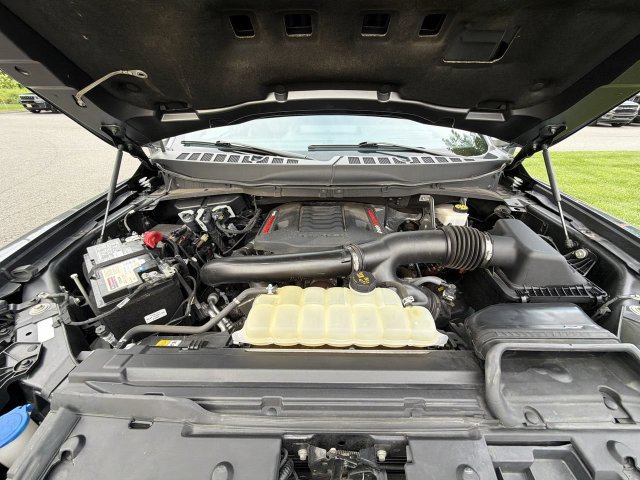 Used 2024 Ford F150 Raptor AWD/4WD image 14