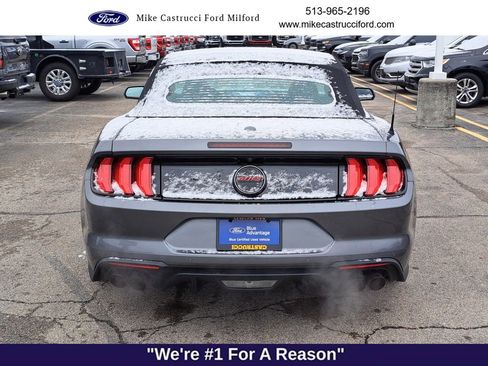 Certified 2023 Ford Mustang GT Premium w/ Equipment Group 401A image 4