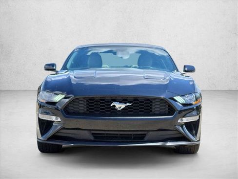 Used 2019 Ford Mustang Premium w/ Ford Safe & Smart Package RWD image 2