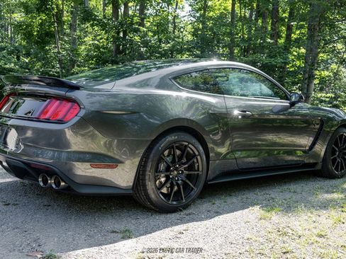 Used 2015 Ford Mustang Shelby GT350 RWD image 8