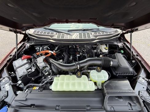 New 2025 Ford F150 XLT w/ Equipment Group 302A MID image 22