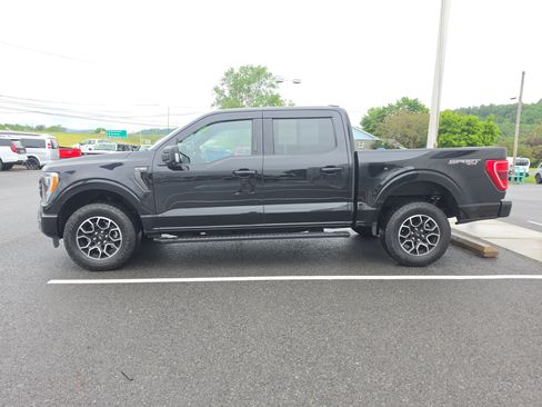 Used 2023 Ford F150 XLT w/ Equipment Group 302A High AWD/4WD image 7
