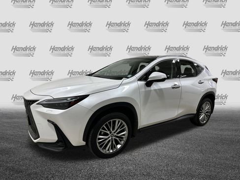 Used 2024 Lexus NX 350 AWD w/ Luxury Package image 5