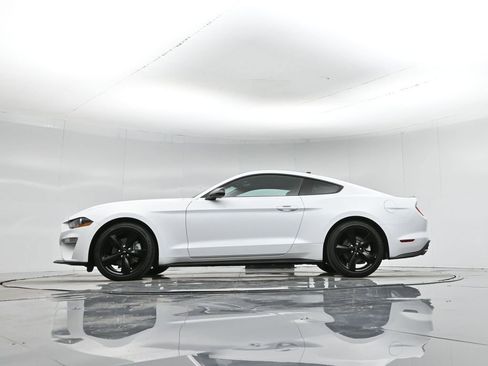 Used 2023 Ford Mustang EcoBoost w/ Equipment Group 101A image 8