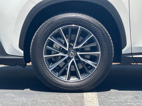 Certified 2025 Lexus NX 350h AWD w/ Cold Area Package image 34