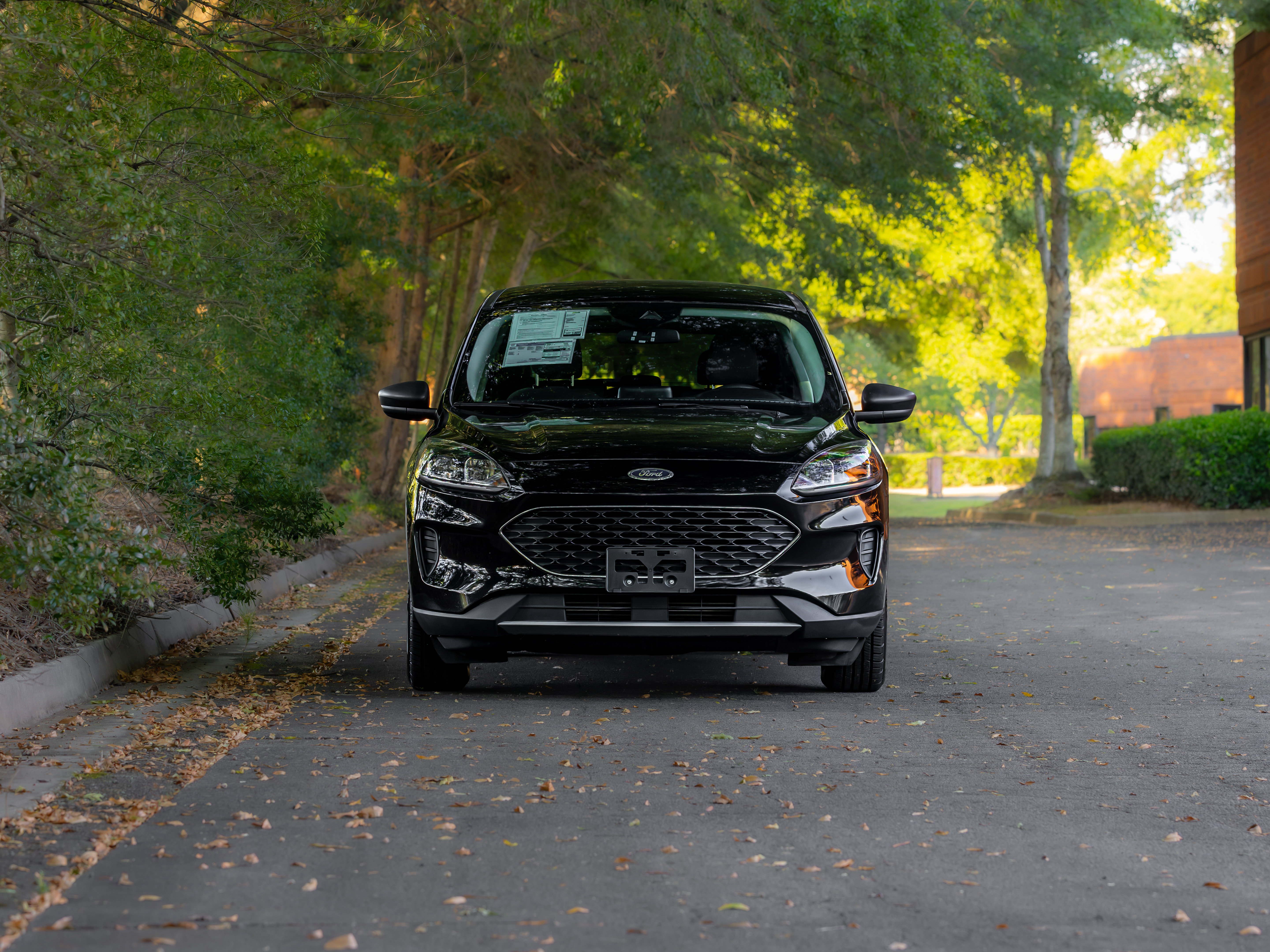 Used 2022 Ford Escape SE FWD image 30