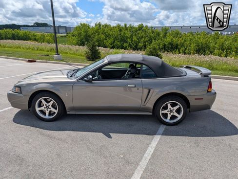 Used 2001 Ford Mustang Cobra image 3