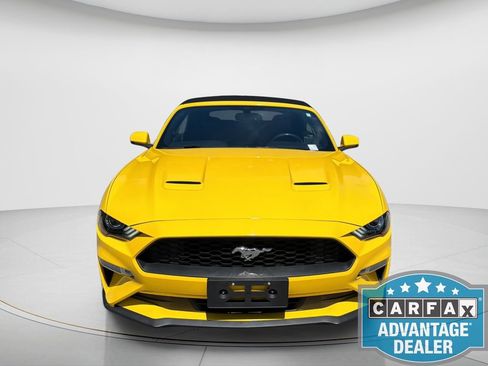 Used 2018 Ford Mustang Premium w/ Equipment Group 201A RWD image 4