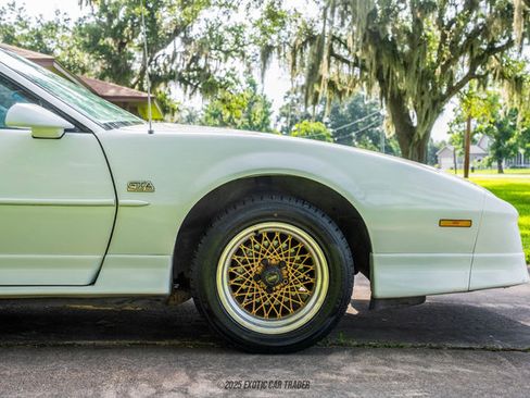 Used 1989 Pontiac Firebird Trans Am RWD image 11