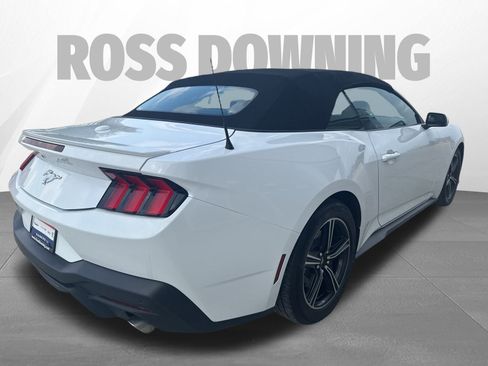Used 2025 Ford Mustang Premium image 6