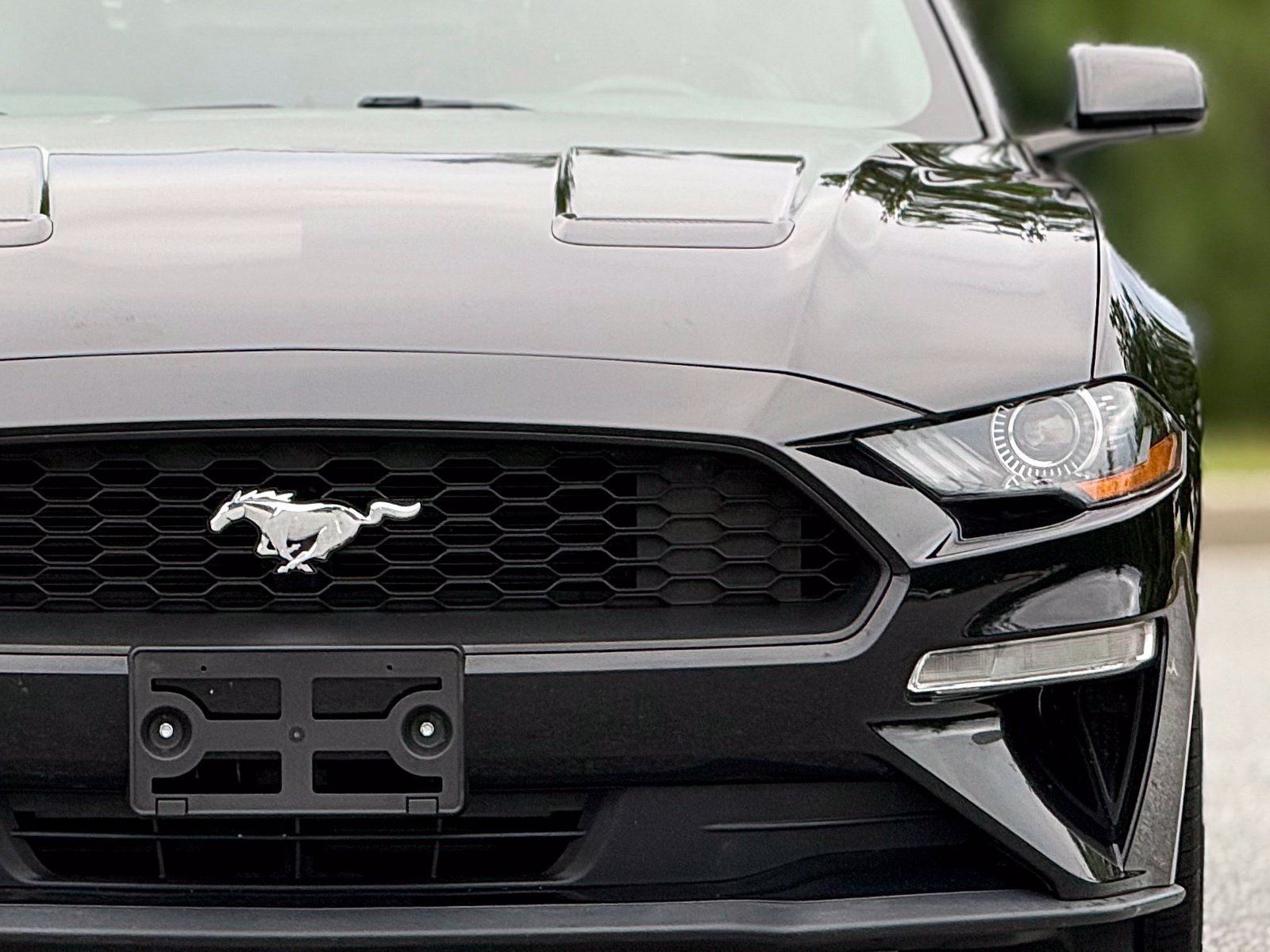 Used 2019 Ford Mustang Coupe RWD image 15