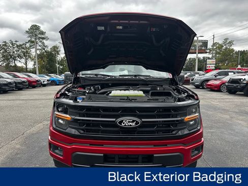 New 2025 Ford F150 XLT w/ Equipment Group 301A Standard image 19