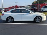 Used 2013 Honda Accord Sport image 3