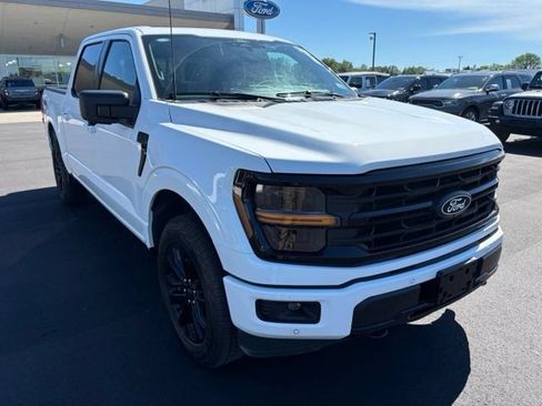 Used 2025 Ford F150 XLT w/ Equipment Group 303A High AWD/4WD image 9