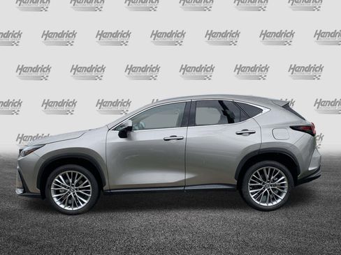 Used 2025 Lexus NX 350 350 Premium w/ Cold Area Package image 7