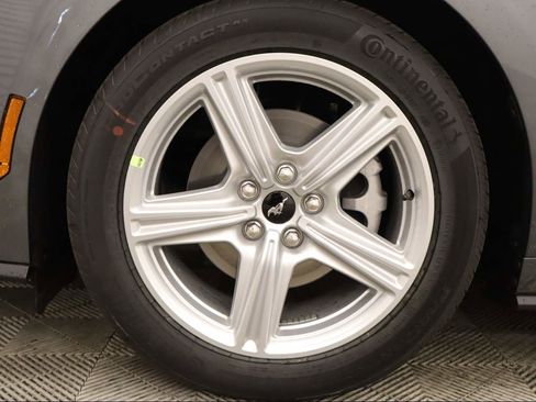 New 2026 Ford Mustang EcoBoost image 6