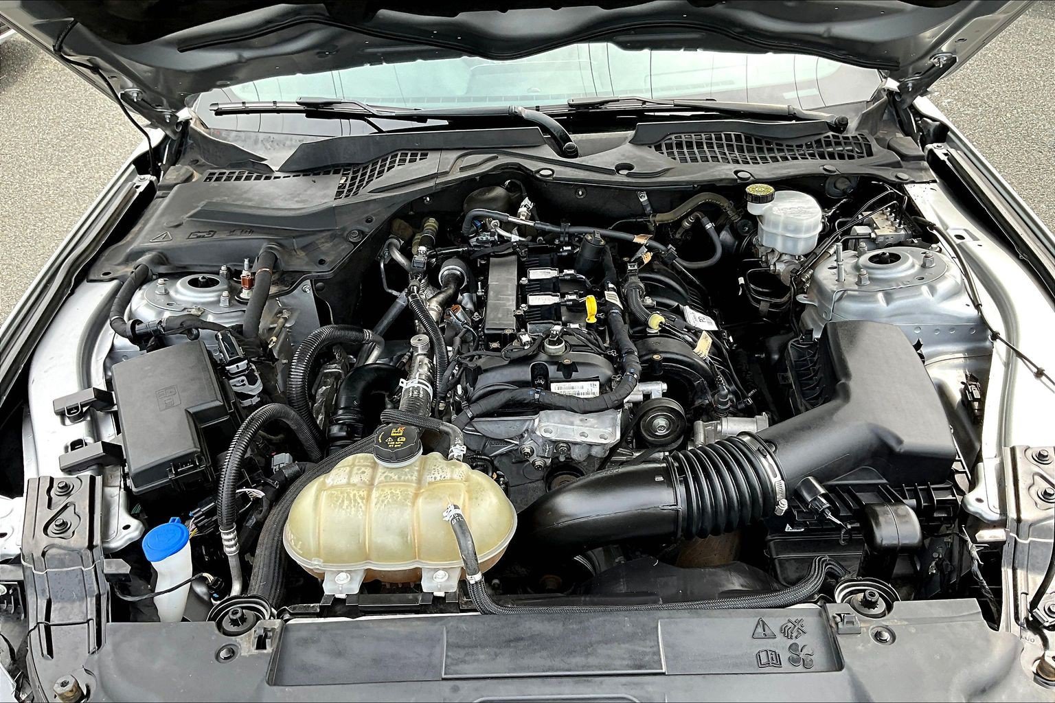 Used 2022 Ford Mustang Premium RWD image 25