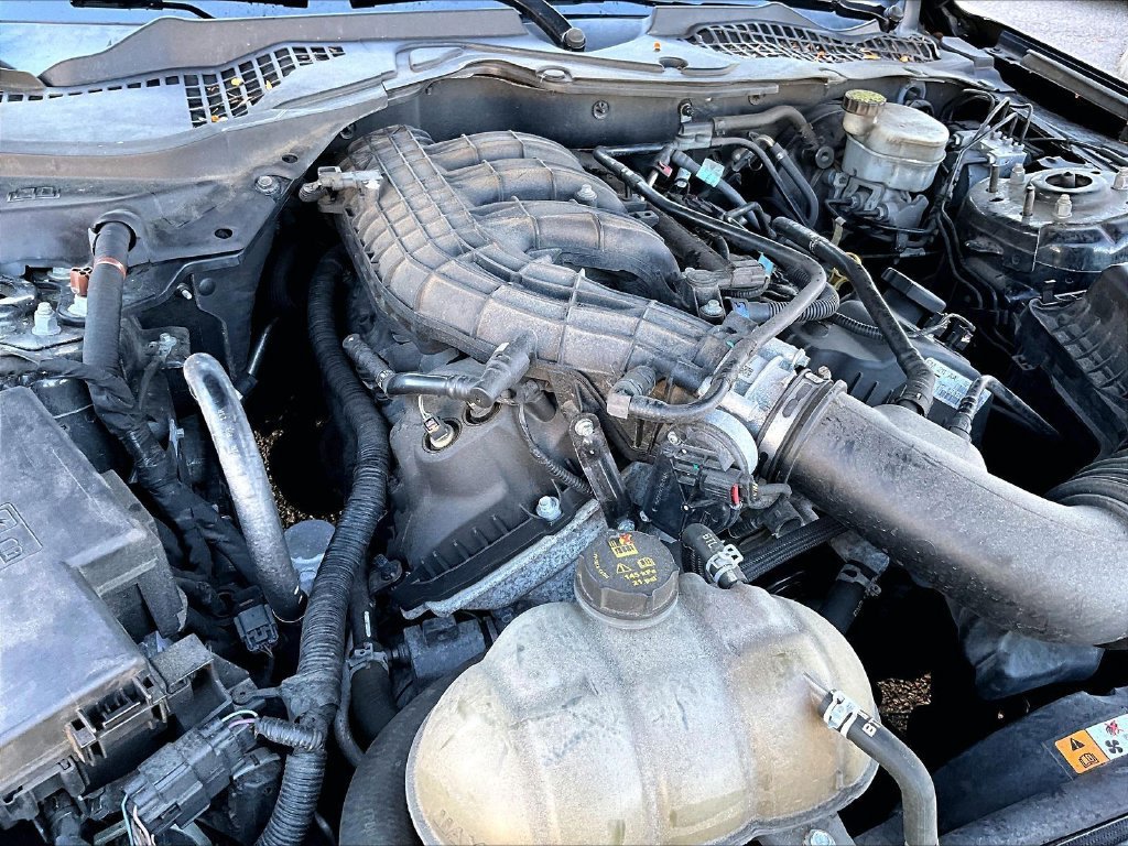 Used 2015 Ford Mustang Coupe RWD image 33