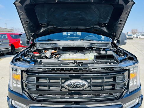 Used 2023 Ford F150 XLT w/ Equipment Group 302A High image 43