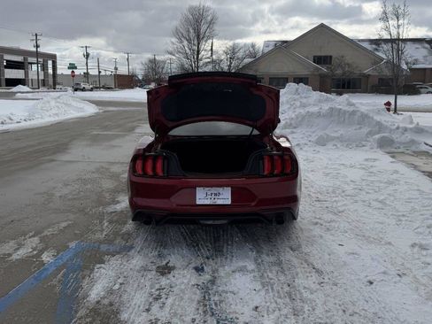 Used 2018 Ford Mustang Premium w/ Equipment Group 201A image 7