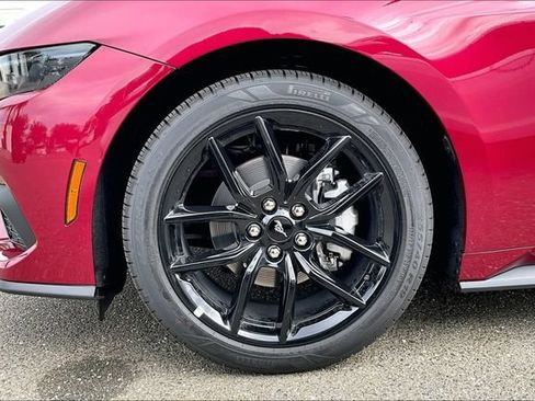New 2026 Ford Mustang Coupe w/ Mustang Nite Pony Package RWD image 12