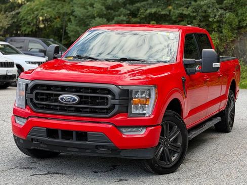 Used 2022 Ford F150 XLT w/ Equipment Group 302A High AWD/4WD image 1