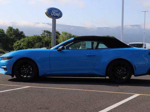New 2025 Ford Mustang EcoBoost 2D Convertible w/ Mustang Nite Pony Package image 4
