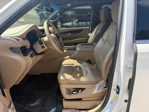 Used 2019 Cadillac Escalade Platinum image 15