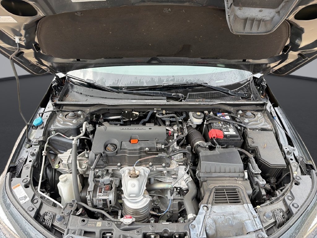 Used 2024 Honda Civic Sport image 14