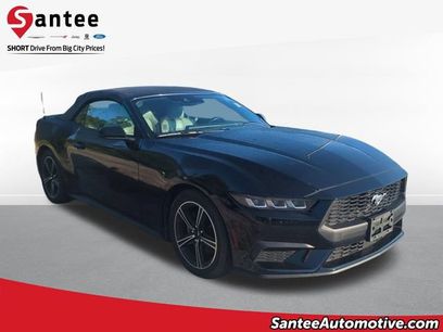 Used 2024 Ford Mustang Premium